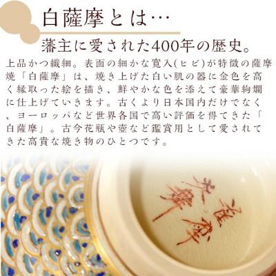 ふるさと納税 日置市 白薩摩 抹茶茶碗 (桐箱付) 焼物 陶器 伝統工芸品