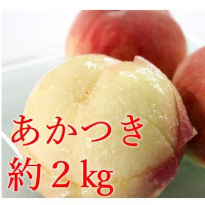 ふるさと納税 中野市 白桃(あかつき)約2kg