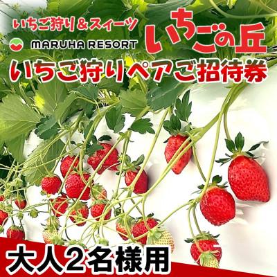 ふるさと納税 南知多町 まるは食堂 マルハリゾート いちごの丘『いちご狩り』ペアご招待券 ※大人(中学生以上)2名様用