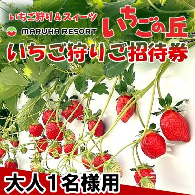 ふるさと納税 南知多町 まるは食堂 マルハリゾート いちごの丘『いちご狩り』ご招待券 ※大人(中学生以上)1名様用