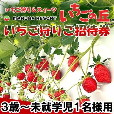 ふるさと納税 南知多町 まるは食堂 マルハリゾート いちごの丘『いちご狩り』3歳〜未就学児用ご招待券(1名様用)