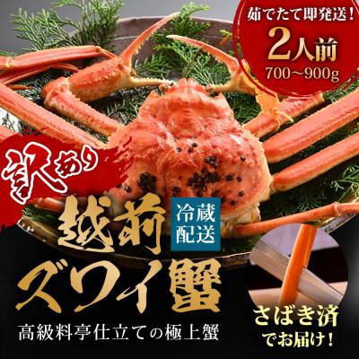 ふるさと納税 福井市 [1〜3月に発送][捌き済で楽々]茹で越前がにズワイガニ中1杯(700〜900g) 訳あり