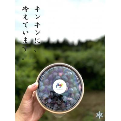 ふるさと納税 常陸大宮市 冷凍ブルーベリー200g