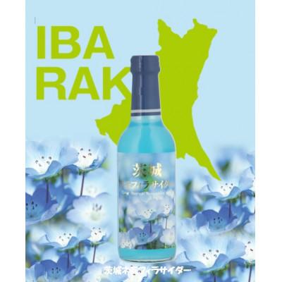 ふるさと納税 ひたちなか市 茨城ネモフィラサイダー 240ml×20本