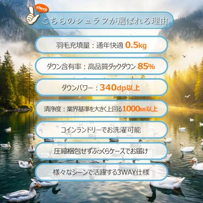 ふるさと納税 広川町 羽毛シュラフ(寝袋)×ダウンケット×ボルスタークッション 3WAY寝袋 ダウン85% 0.5kg使用 |  | 02