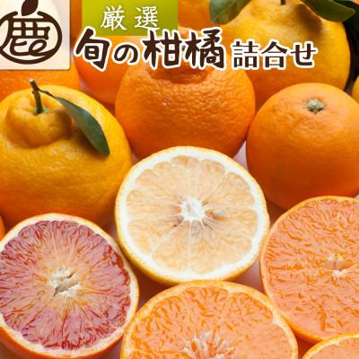 ふるさと納税 有田川町 厳選 柑橘詰合せ2.5kg+250g(傷み補償分)[有田の春みかん詰め合わせ][光センサー選別]