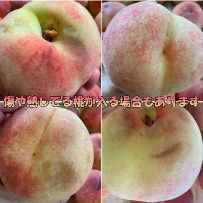 ふるさと納税 山梨市 2027年(来年) 発送【訳あり】桃 2kg以上 |  | 02