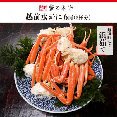 ふるさと納税 越前町 越前水がに 浜ゆで 6肩 (3杯分)セット 2026年2月〜3月順次発送