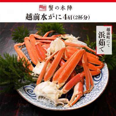 ふるさと納税 越前町 越前水がに 浜ゆで 4肩 (2杯分)セット 2026年2月〜3月順次発送