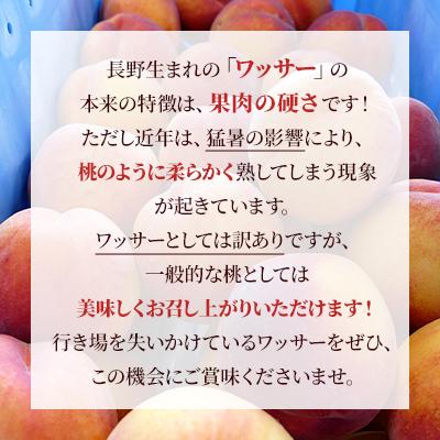 ふるさと納税 長野県 【訳あり】ワッサー(ピーチワッサー)約4kg 桃×ネクタリンの掛け合わせの画像