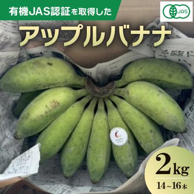 ふるさと納税 宜野座村 [2025年8月から順次発送]有機JAS認証を取得した アップルバナナ 2kg(14〜16本)
