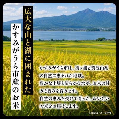 ふるさと納税 かすみがうら市 令和8年産 新米 コシヒカリ 玄米 5kg | こしひかり お米 茨城県かすみがうら市産 |  | 01
