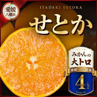 ふるさと納税 八幡浜市 三代目の柑橘の大トロ[せとか]4kg サイズ:L〜4L混合[E31-52]