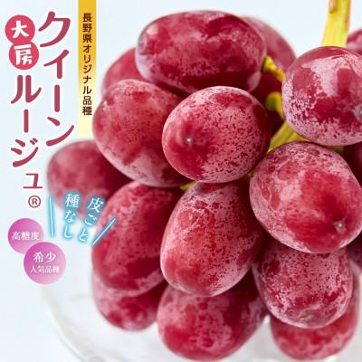 ふるさと納税 中野市 厳選 大房クイーンルージュ(R) 秀品 1房(約600g) | 