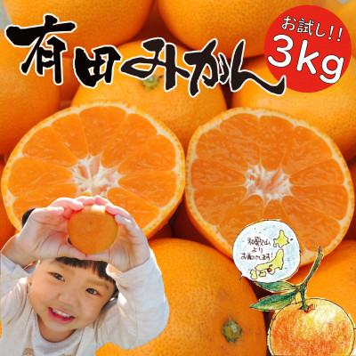 ふるさと納税 湯浅町 [2025年11月〜発送]はじめまして 有田みかん お試し 3kg (和歌山県 有田川町産)