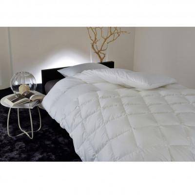 ふるさと納税 本庄市 昭和西川 100年羽毛 ソリッド80 羽毛掛けふとん ホワイトグース90% シングル