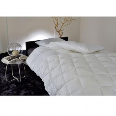 ふるさと納税 本庄市 昭和西川 100年羽毛 ソリッド80 羽毛肌掛けふとん ホワイトグース90% シングル