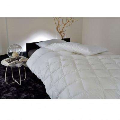 ふるさと納税 本庄市 昭和西川 100年羽毛 ソリッド120 羽毛肌掛けふとん ホワイトマザーグース95% シングル