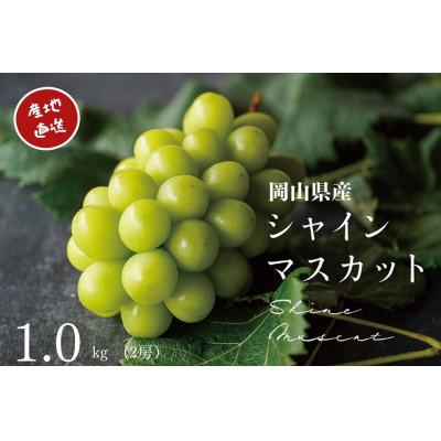 ふるさと納税 岡山市 [2026年先行受付] 厳選 岡山県産 シャインマスカット 計1.0kg以上 2房 産直・朝採れ