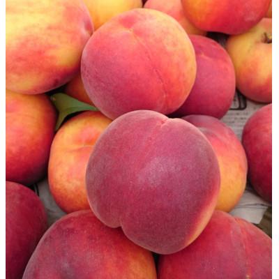 ふるさと納税 長野県 【硬めの桃】シャキッとした食感のワッサー約2kg(約6〜10玉)の画像