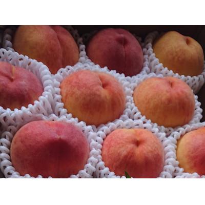 ふるさと納税 長野県 【硬めの桃】シャキッとした食感のワッサー約2kg(約6〜10玉)の画像
