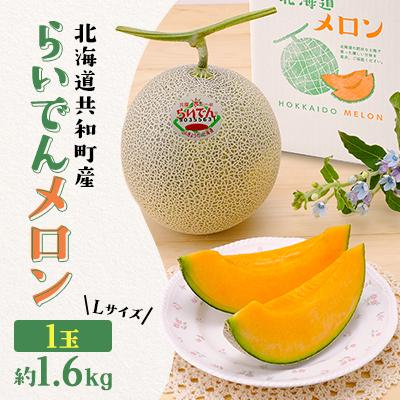 ふるさと納税 共和町 [先行受付/2026年発送]北海道 共和町産 らいでんメロン(赤果肉) Lサイズ 約1.6kg 1玉
