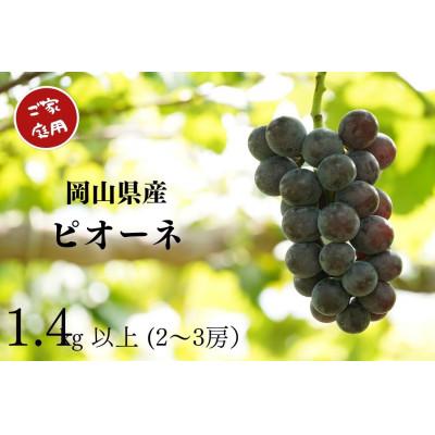 ふるさと納税 岡山市 [2026年先行受付] 岡山県産 ご家庭用ピオーネ 計1.4kg以上 2〜3房 産直・朝採れ