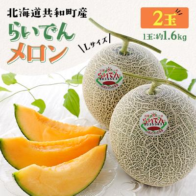 ふるさと納税 共和町 [先行受付/2026年発送]北海道 共和町産 らいでんメロン(赤果肉) Lサイズ 約1.6kg 2玉