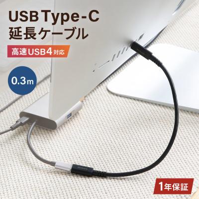ふるさと納税 海老名市 (オウルテック) 急速充電/高速データ通信対応 Type-C to C 延長ケーブル 30cm