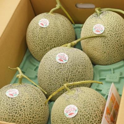 ふるさと納税 共和町 [先行受付/2026年発送]北海道 共和町産 らいでんメロン(赤果肉) 8kg(4〜6玉)