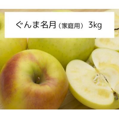 ふるさと納税 飯綱町 [訳あり] りんご ぐんま名月 2026年11月より順次発送 3kg