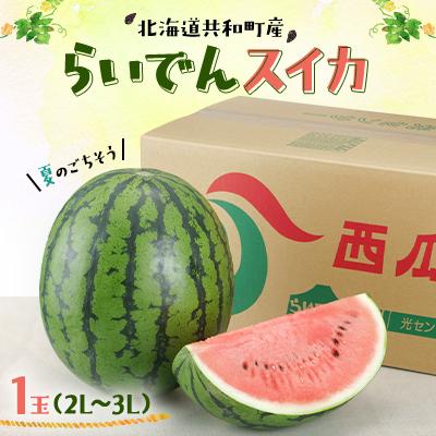 ふるさと納税 共和町 [先行受付/2026年発送]北海道 共和町産 らいでんスイカ2L〜3L 1玉