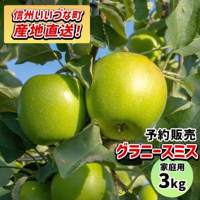 ふるさと納税 飯綱町 [訳あり] りんご グラニースミス 家庭用 3kg