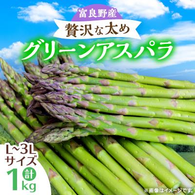 ふるさと納税 富良野市 [先行受付][2026年発送]富良野産アスパラ1kg贅沢な太め(L〜3L)サイズ