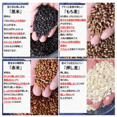 ふるさと納税 豊能町 【白米に混ぜて簡単!】国産 五穀米ブレンド3.0kg(300g×10袋入り)_2