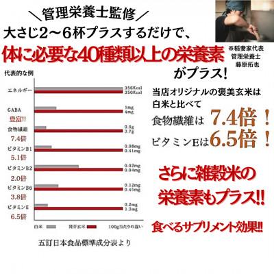 ふるさと納税 豊能町 【白米に混ぜて簡単!】国産 五穀米ブレンド3.0kg(300g×10袋入り)_3