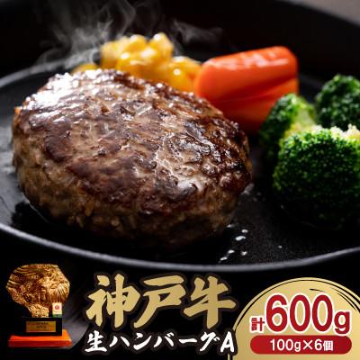 ふるさと納税 豊岡市 12/21入金分まで年内発送!神戸牛生ハンバーグ6個入A