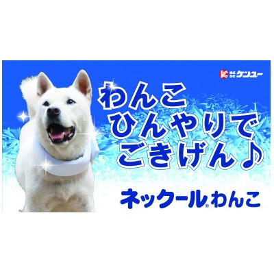 ふるさと納税 福山市 ネック-ルわんこ(2個セット)