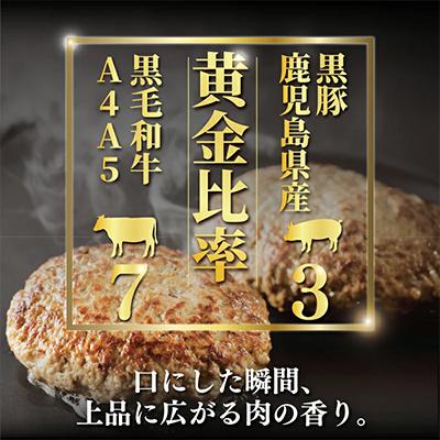 ふるさと納税 藤沢市 国産黒毛和牛と鹿児島県産黒豚の生ハンバーグ計10個 |  | 01
