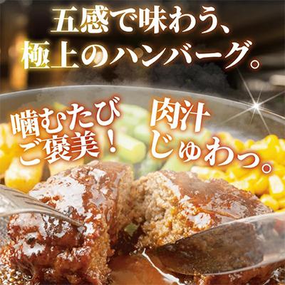 ふるさと納税 藤沢市 国産黒毛和牛と鹿児島県産黒豚の生ハンバーグ計10個 |  | 02