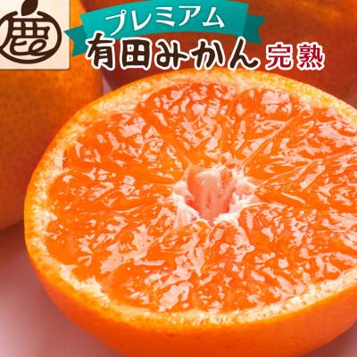 ふるさと納税 湯浅町 プレミアム 完熟有田みかん2.5kg+250g(傷み補償分)[光センサー選果]