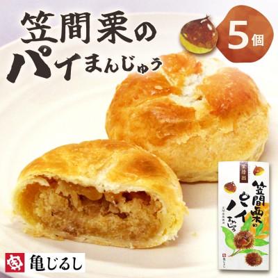 ふるさと納税 水戸市 笠間栗のパイまんじゅう 茨城県水戸市