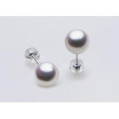 ふるさと納税 長崎市 PT900 / 8.5mm アコヤ真珠 ピアス