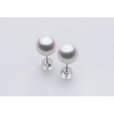 ふるさと納税 長崎市 PT900 / 8.0mm アコヤ真珠 ピアス