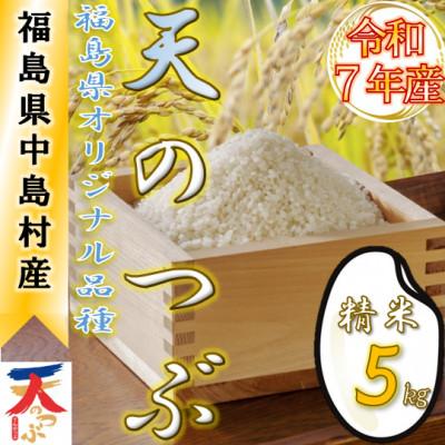 ふるさと納税 中島村 [新米/令和7年産]中島村産『天のつぶ』(精米)5kg