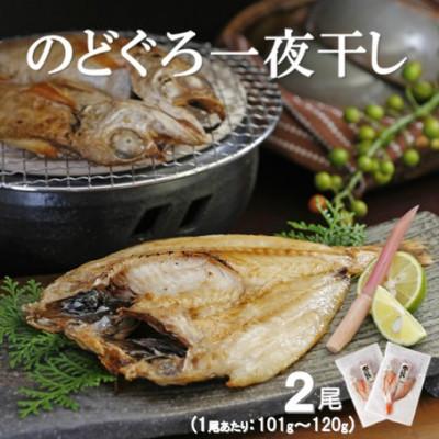 ふるさと納税 大田市 脂の乗り良し!のどぐろ一夜干し 2尾(1尾あたり101〜120g) N33E