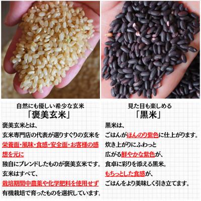ふるさと納税 豊能町 【白米に混ぜて簡単!】国産 有機黒米ブレンド3.0kg(250g×12袋入り)の画像