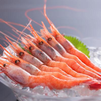 ふるさと納税 新温泉町 お刺身用甘えび500g(Mサイズ44匹前後) |  | 01