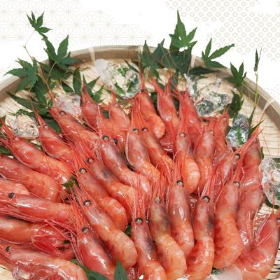ふるさと納税 新温泉町 お刺身用甘えび500g(Mサイズ44匹前後) |  | 02