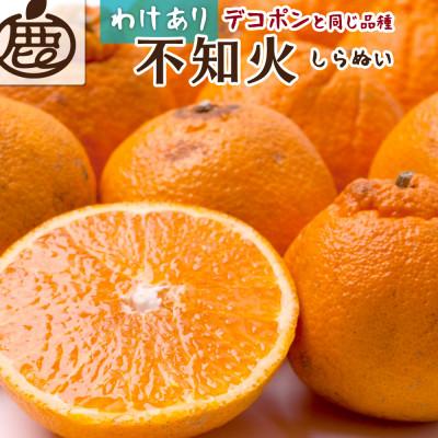 ふるさと納税 美浜町 家庭用 不知火10kg+250g(傷み補償分)[デコポンと同品種・人気の春みかん] 訳あり